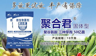 5個層面近30個標準，助推微生物肥料產業快速發展